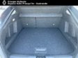 RENAULT ARKANA - annonce-VO200163